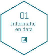 Informatie en data Icoon
